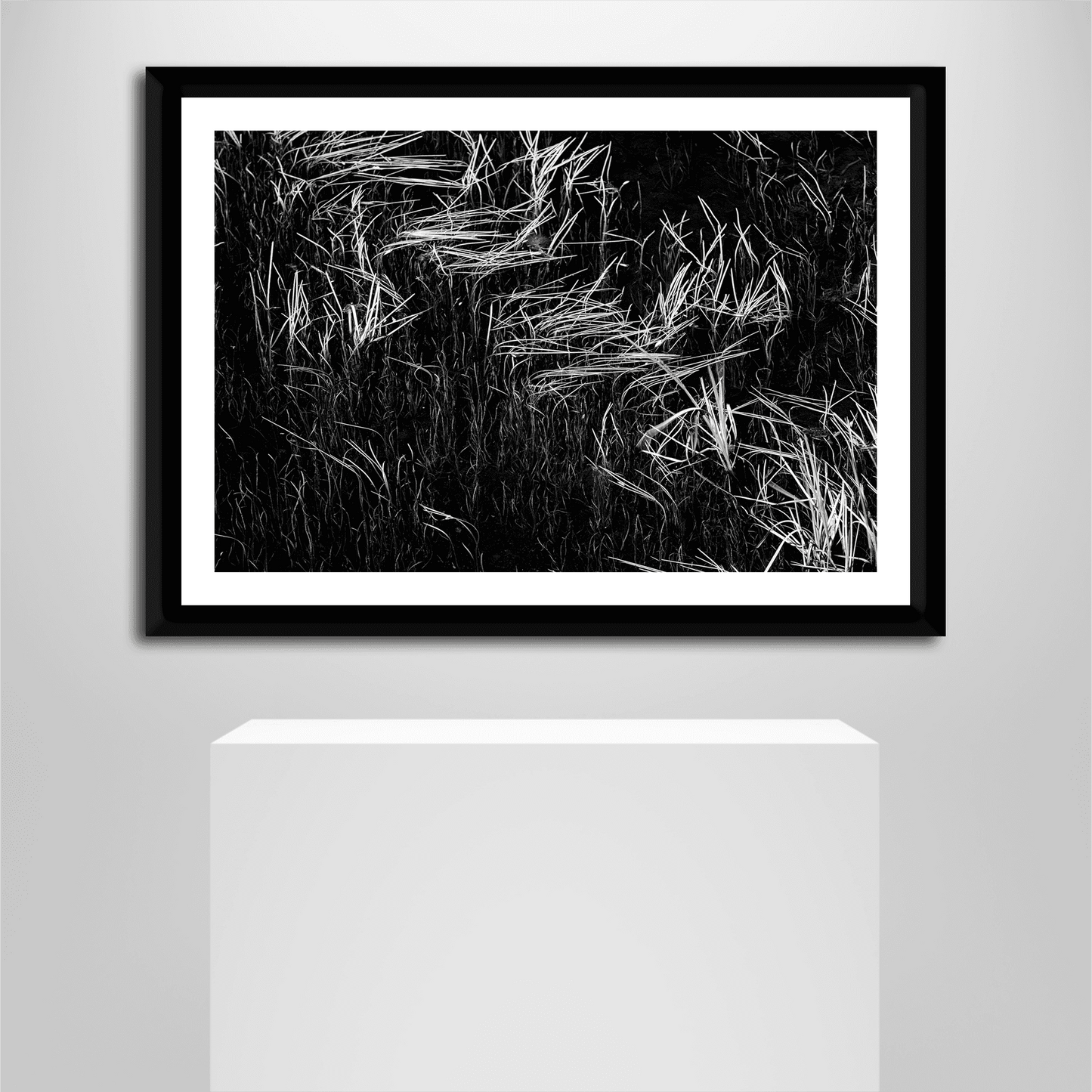 Minimalist wall display of Reeds in Water – Grand Teton Fine Art Black & White Landscape by Michael Hart. Ideal for gallery-style interiors.