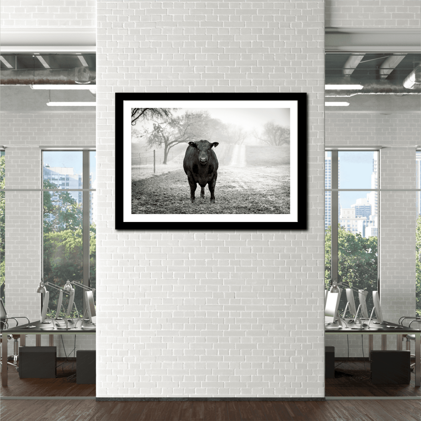 Black Angus Bull in Fog – Award-Winning Texas Ranch Photography framed on white brick wall in modern office. Monochrome bull portrait adds rustic elegance.