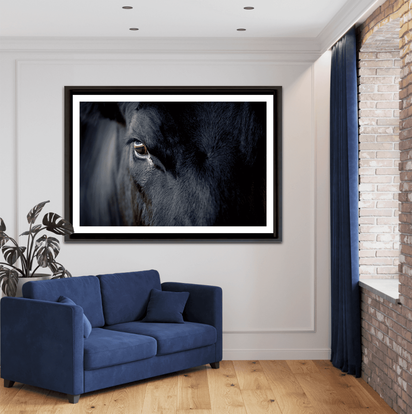 Black Angus Bull Eye – Fine Art Cattle Photography framed print in a stylish living room, blending cowboy culture with upscale home decor aesthetics.