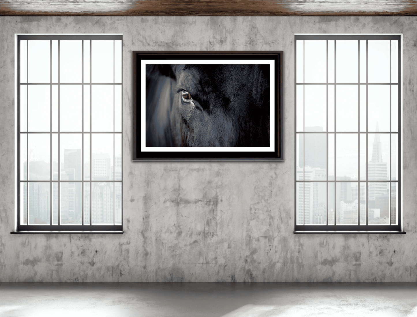 Black Angus Bull Eye – Fine Art Cattle Photography wall art in an industrial loft, showcasing rural Texas charm and bold animal portraiture in fine art form.
