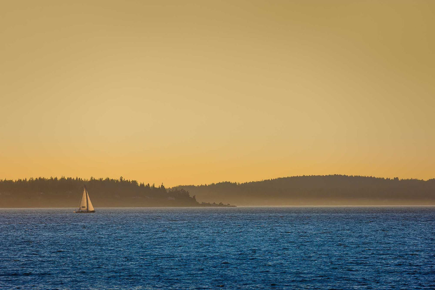 Golden Hour Sailboat – Limited Edition Fine Art Photograph of Puget Sound at Sunset with a sailboat gliding across golden-lit blue waters.