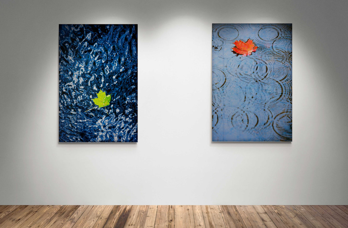 Adrift – Limited Edition Fine Art Print from Maine shown in a gallery setting beside a red leaf artwork, highlighting seasonal contrast and water reflections.