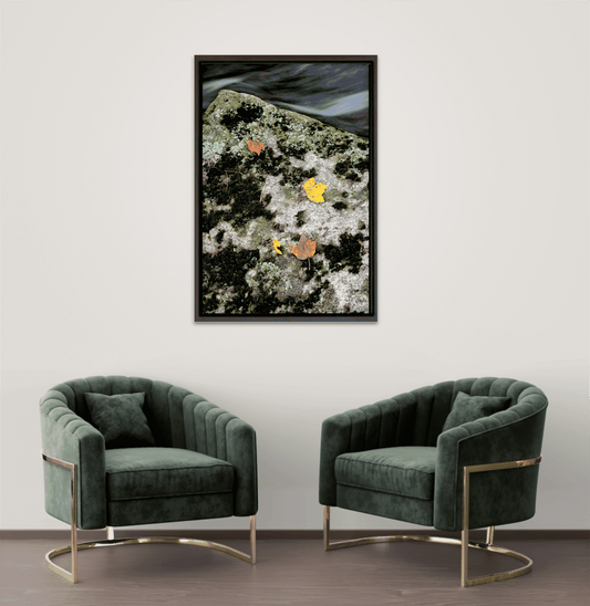 Autumn Remains – Limited Edition Photograph displayed in a modern living room with green velvet chairs, ideal for nature-inspired interior design.