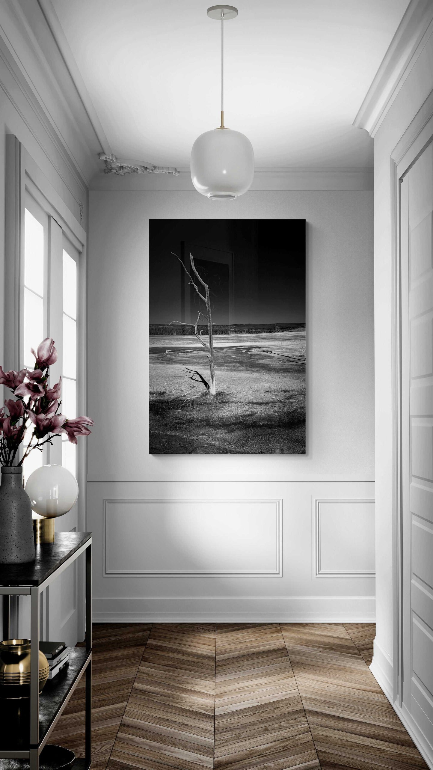 A framed print of a lone dead tree in this stark black and white image emerges from the ground in the caldera of the geyser basin at Yellowstone National Park