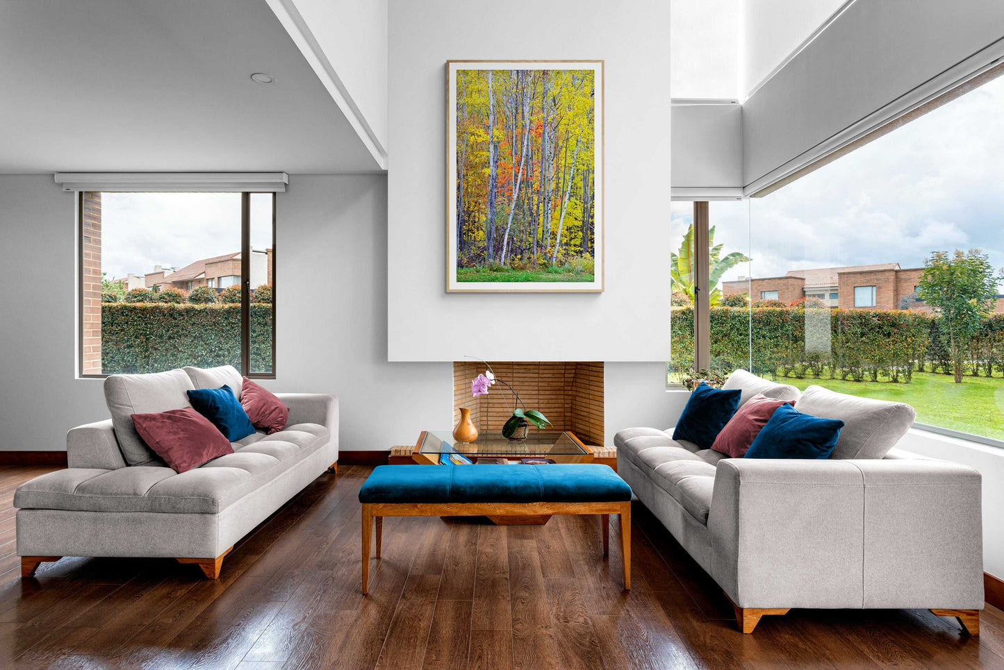 Framed print of an images of birch trees against a wall of other trees in Maine, shown on the wall of a room setting.