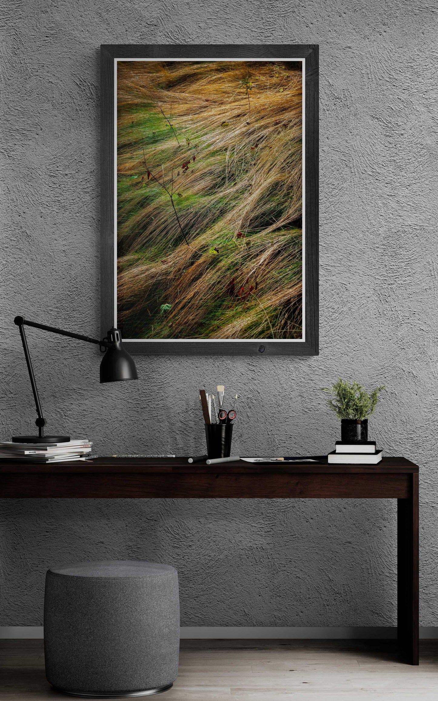 “Autumn Grasses #2, Acadia” – A limited edition fine art photograph showcasing flowing wild grasses in Acadia National Park, framed in a modern interior. Ideal for collectors and interior designers seeking calming, nature-inspired wall art.