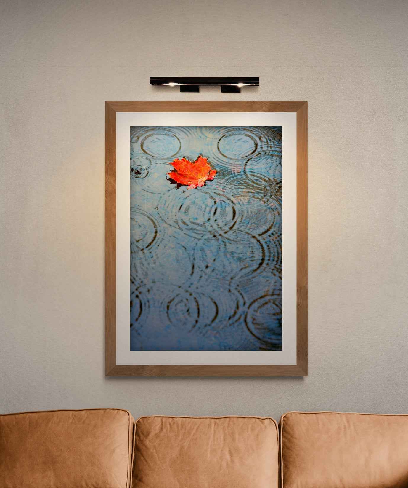 Autumn Rain – Limited Edition Fine Art Photograph illuminated above a leather couch. A striking red leaf in water brings nature’s serenity indoors.