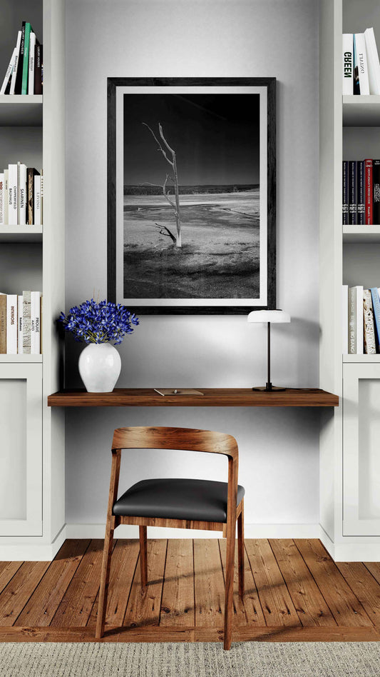 A framed print of a lone dead tree in this stark black and white image emerges from the ground in the caldera of the geyser basin at Yellowstone National Park. Shown over a small desk in a home library