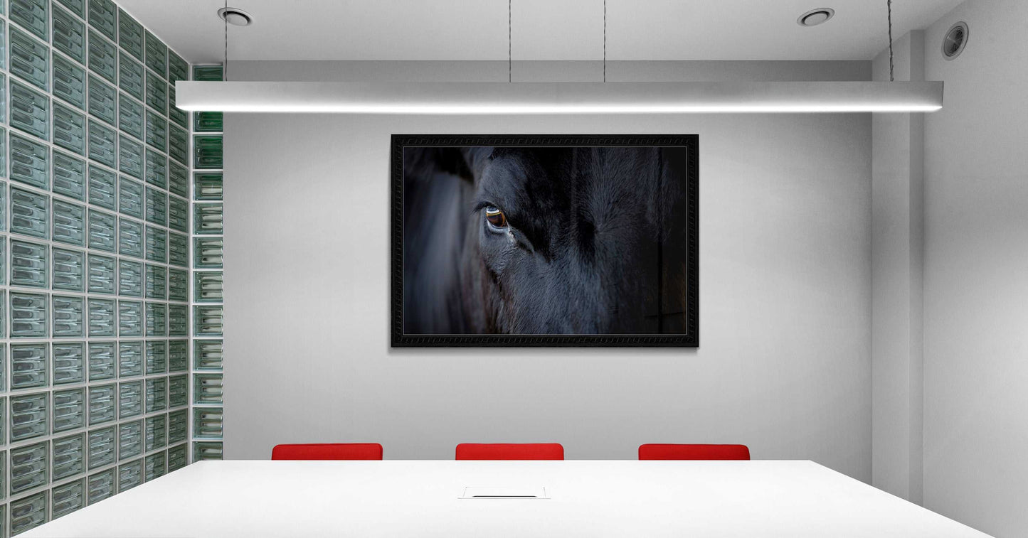 Black Angus Bull Eye – Fine Art Cattle Photography print in a sleek conference room, merging authentic Western livestock imagery with modern interior design.
