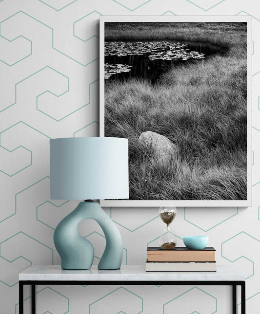Framed Wyoming nature print 'Pond Boulder' by Michael Hart displayed above a modern console with a sculptural lamp and books in a home decor setting.