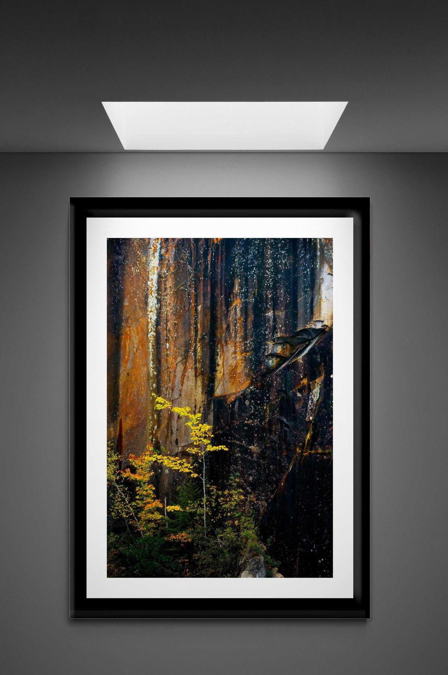 Vertical Quarry Wall #2 print under spotlight in a minimalist gallery-style room. Maine Autumn Scene adds earthy tones to modern wall art.