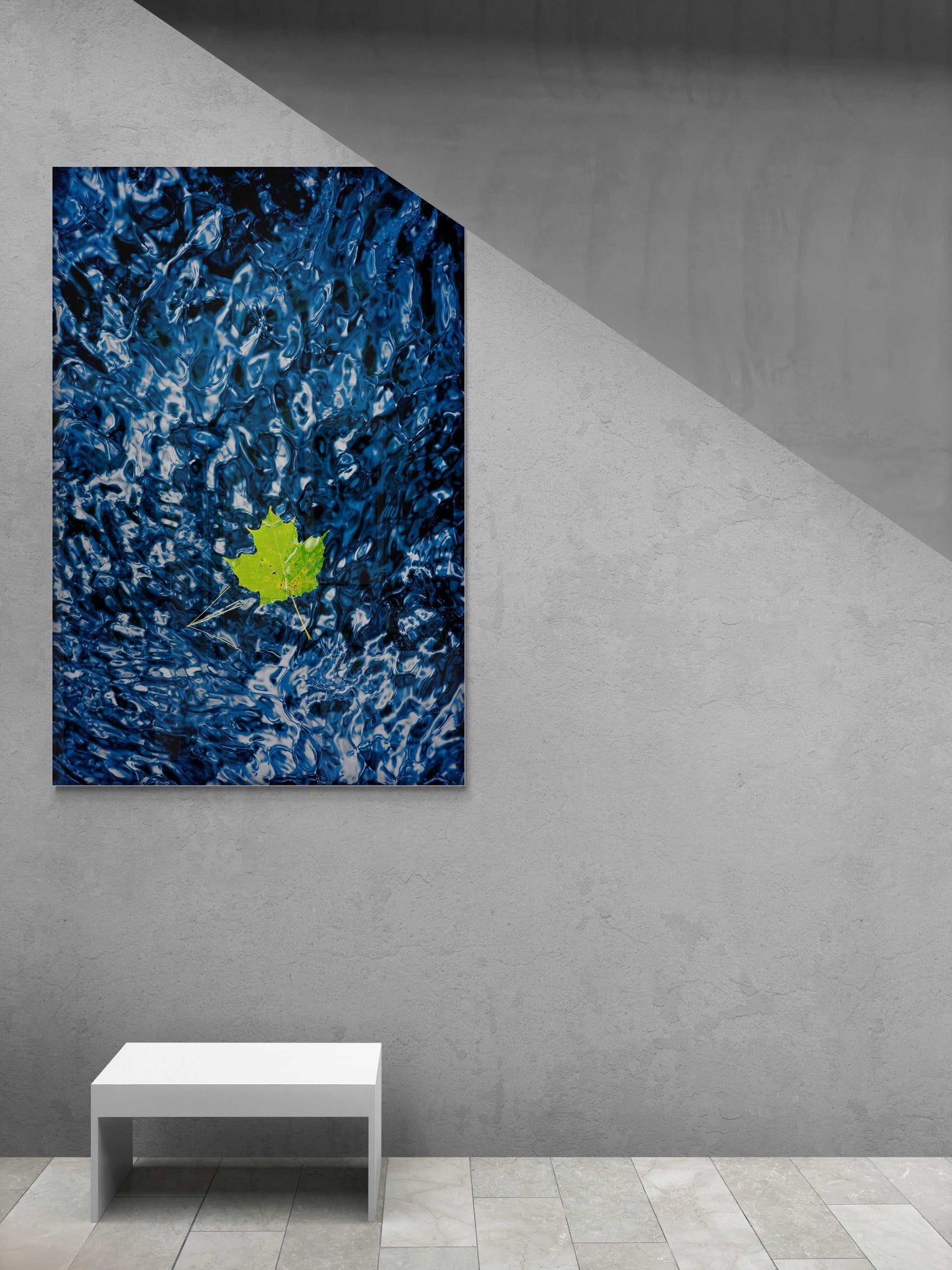 Adrift – Fine Art Nature Photography Print from Maine mounted on a concrete wall with angled light, showcasing vibrant leaf detail and water texture.