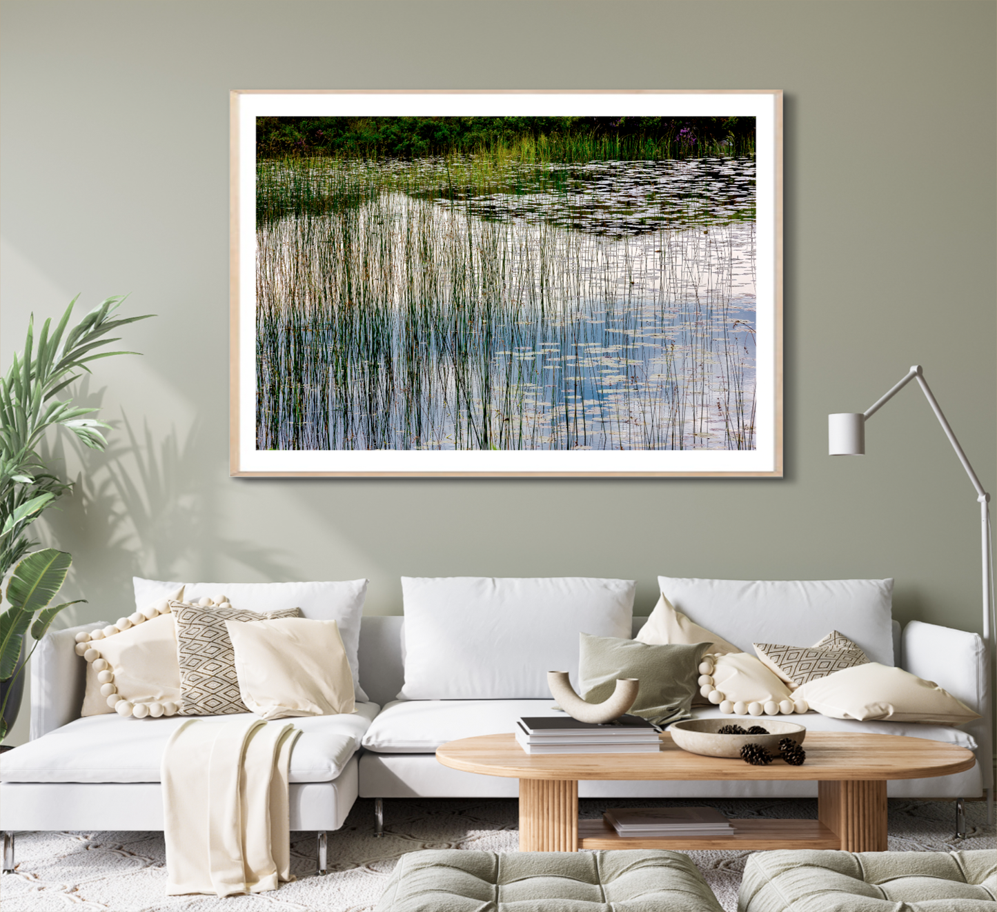 Reeds and Water, Lochinver