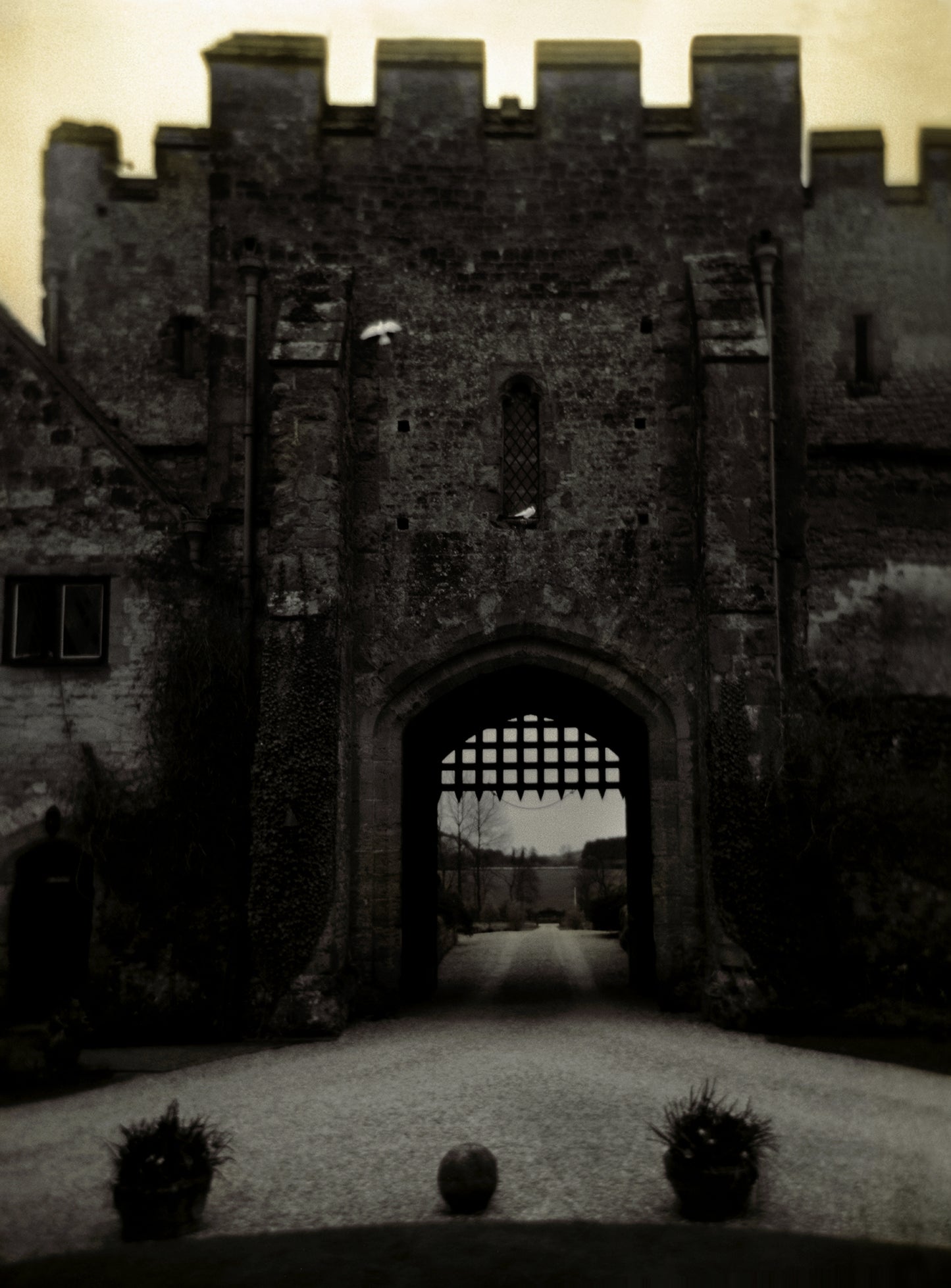 An impressionistic image of the gate at Amberley Castle in Sussex, England. Taken with a plastic Holga camera it is naturally soft and has a white bird flying vertically up in front of the structure, which makes it standout as the dark stone of the gatehouse contrasts with the white of the bird.