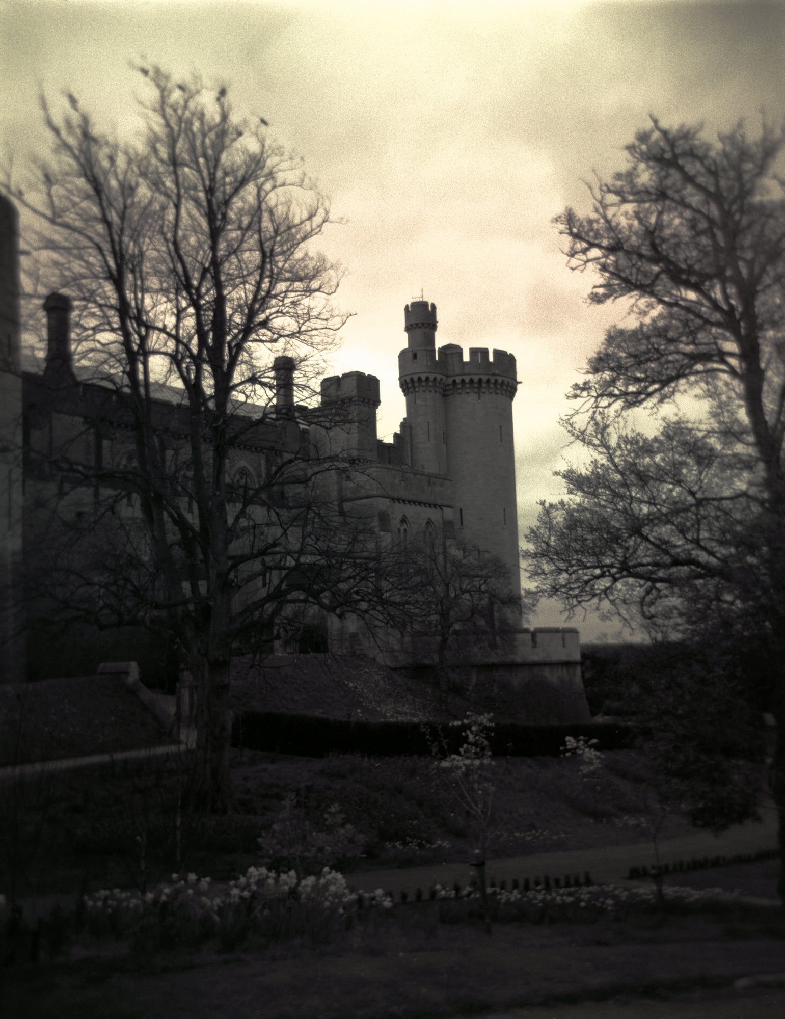 An image of Arundel Castle, in Sussex, England. Taken with a plastic Holga camera old black and white film, it was scanned as a color image which resulted in the slight yellow tone which helps give the timeless effect of the image.