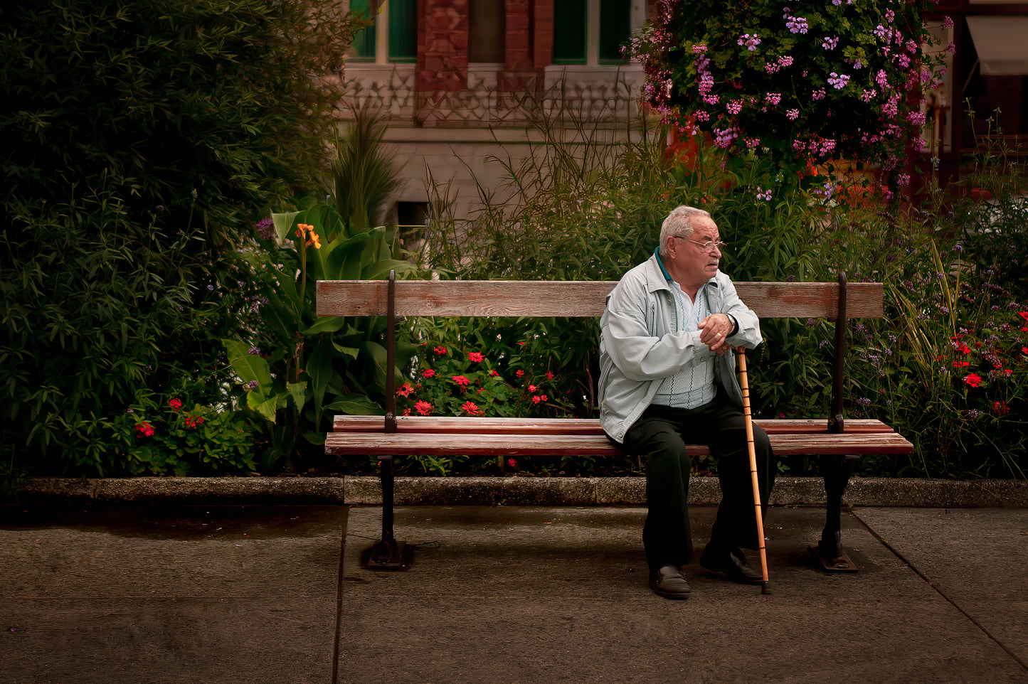 France Street Photograph Art Print - Limited Edition Photo