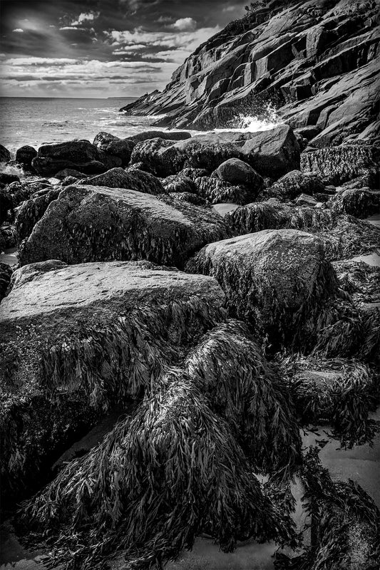 A highly textured black and white image of the rocky shoreline along the coast of Maine. he rocks in the foreground are strewn with strands of seaweed, adding to the texture as the rocky shoreline recedes back, and the waves crash in and explode in a splash of white.