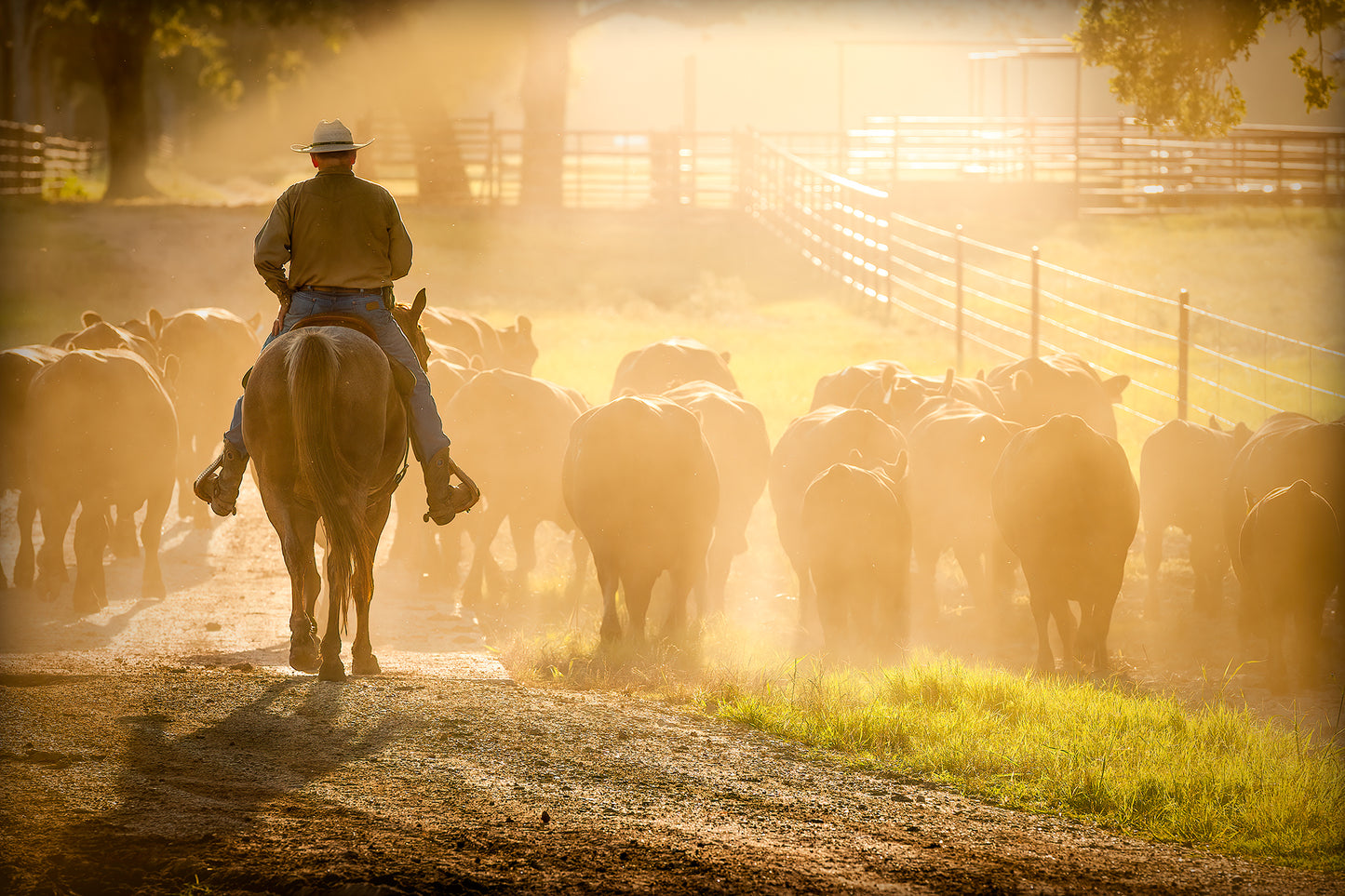 Golden Hour Roundup