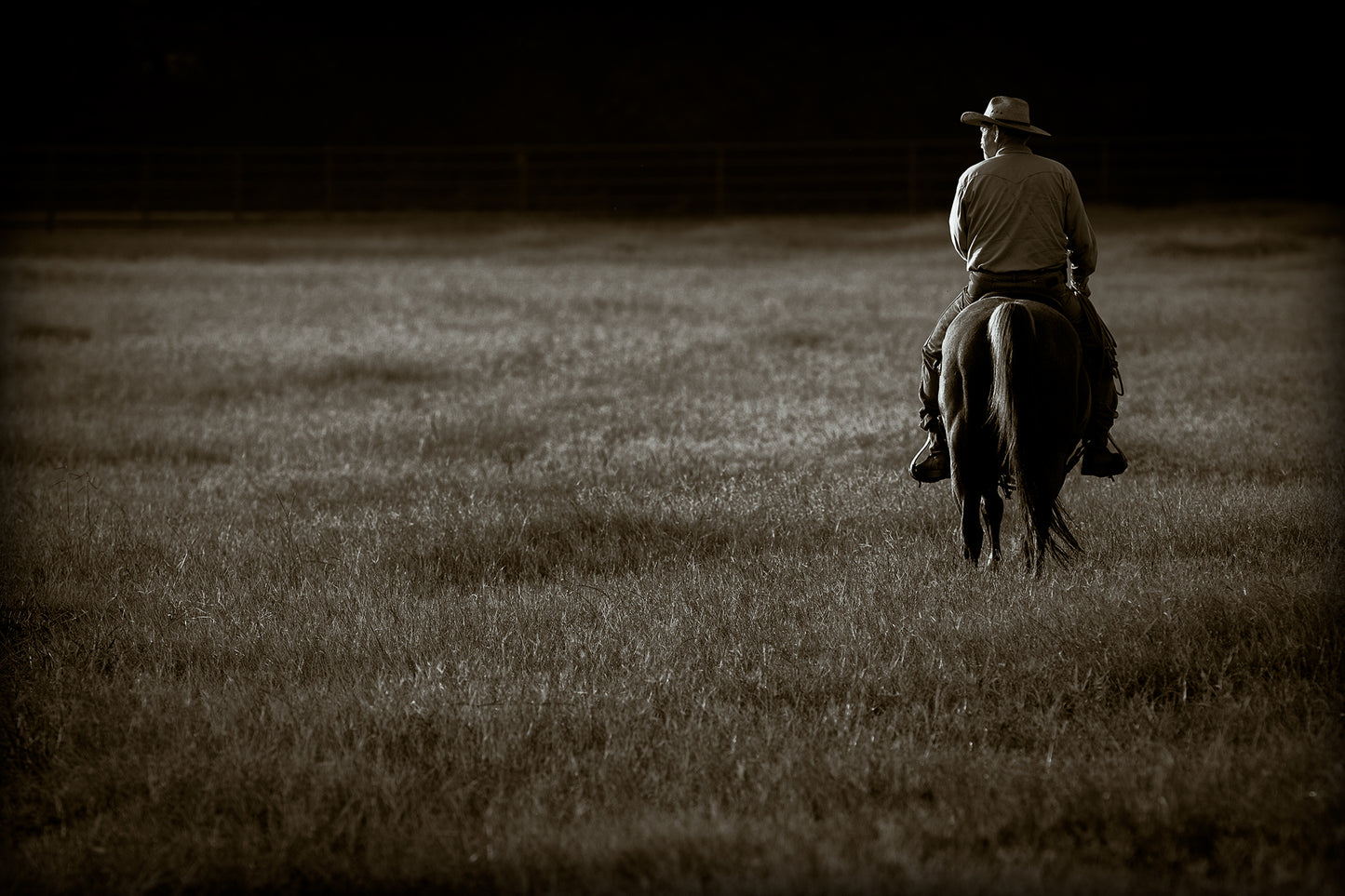 Lone Rider