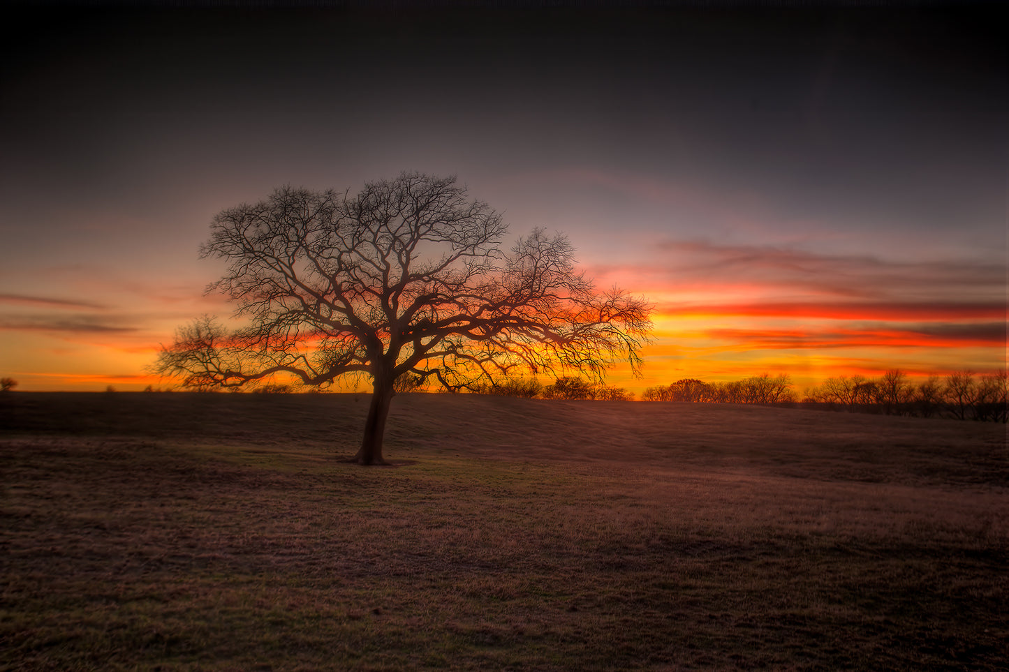 Sunset at 44 Farms