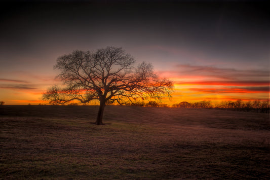 Sunset at 44 Farms