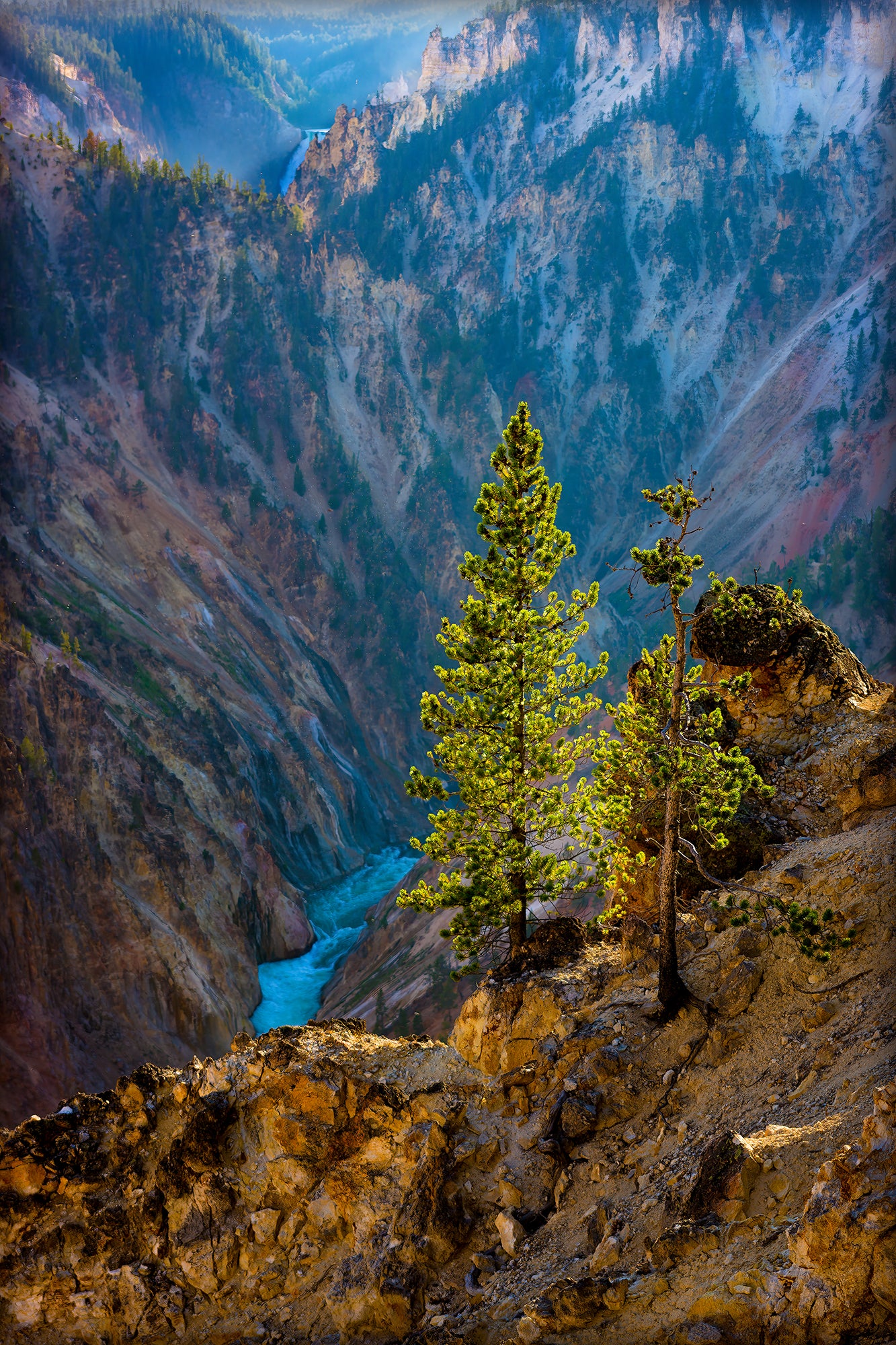 Lone Tree, Yellowstone