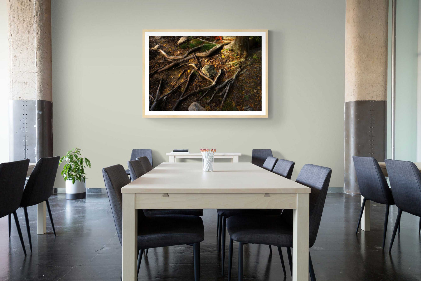 Autumn Roots – Fine art forest photograph displayed in a modern conference room, ideal for interior designers and office wall decor.