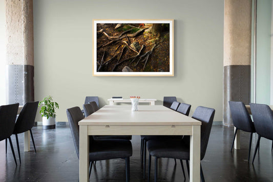 Autumn Roots – Fine art forest photograph displayed in a modern conference room, ideal for interior designers and office wall decor.