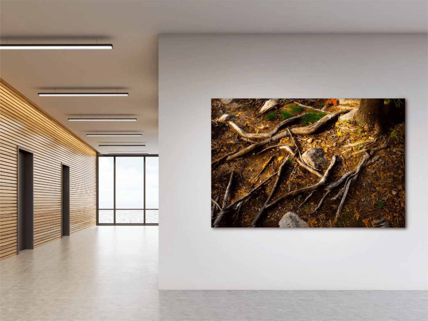 Autumn Roots – Award-winning Maine forest photo mounted in a contemporary gallery space, highlighting natural textures and fall color detail.