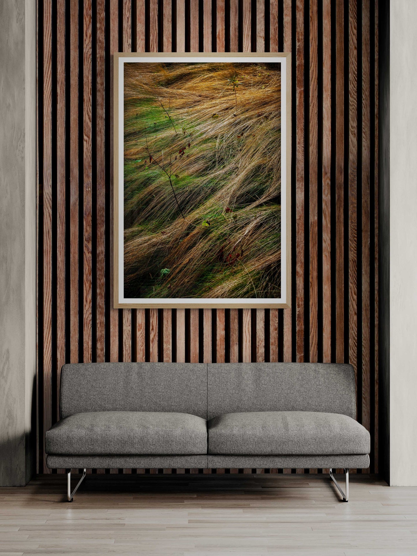 “Autumn Grasses #2, Acadia” – A limited edition fine art photograph showcasing flowing, backlit wild grasses in Acadia National Park. Ideal for modern interiors.