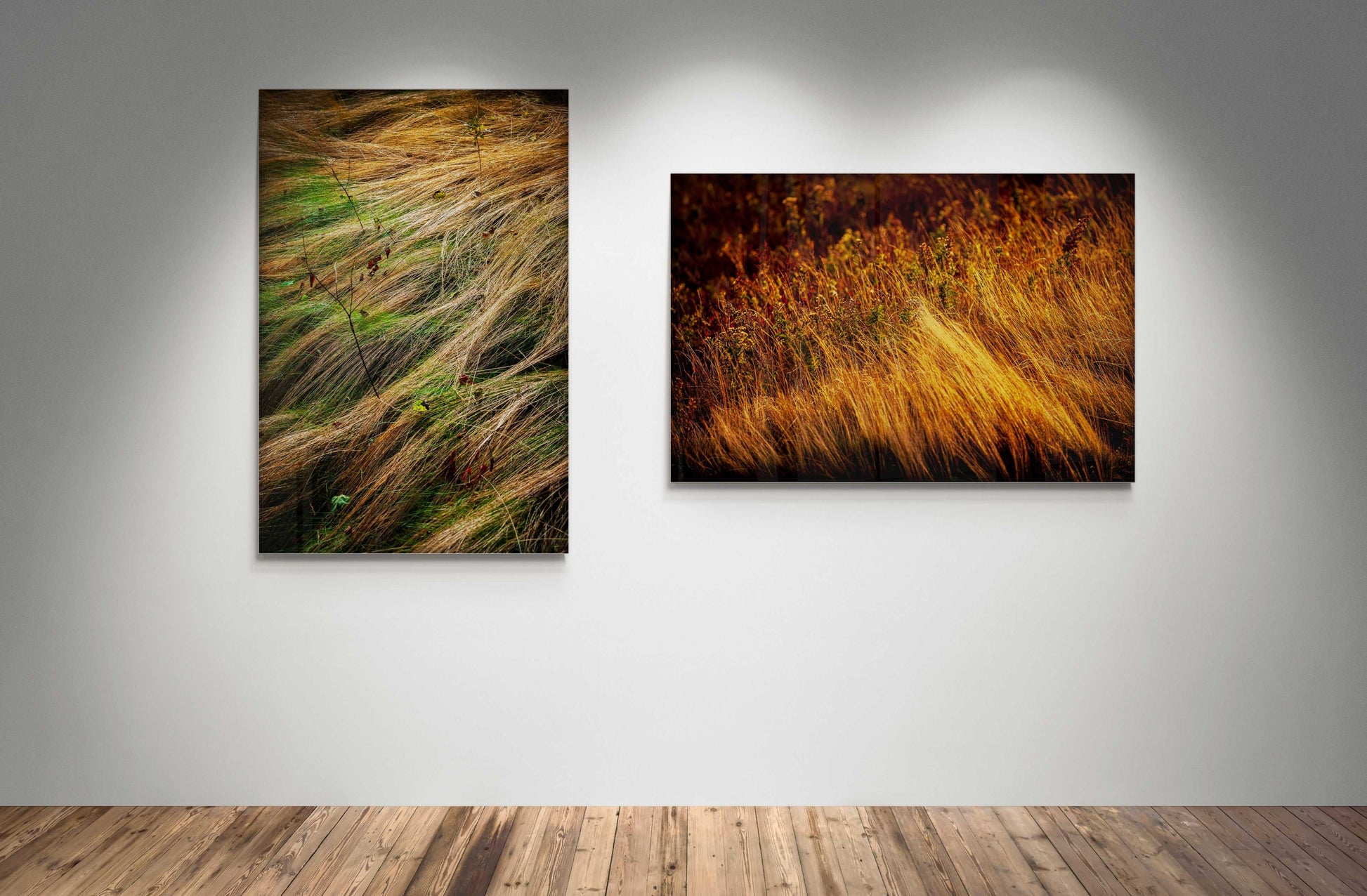 Michael Hart Fine Art