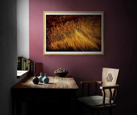 Framed Autumn Grasses #1, Acadia – Limited Edition Fall Nature Photograph displayed in a rustic study with wood furniture and burgundy wall, ideal for interior design.