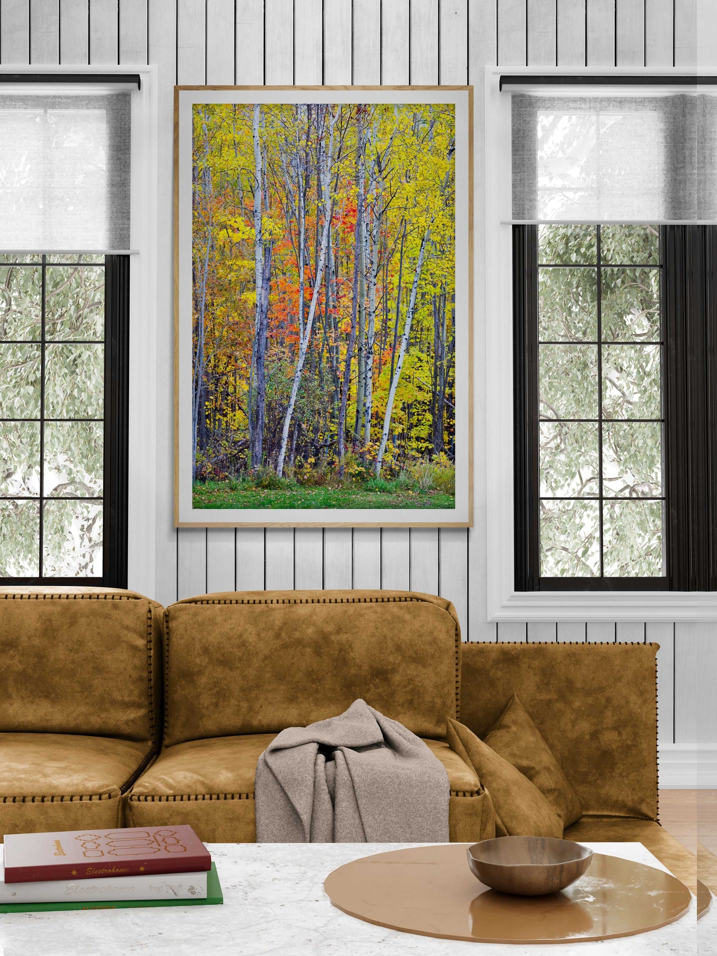 Framed print of an images of birch trees against a wall of other trees in Maine, shown on the wall of a room setting.