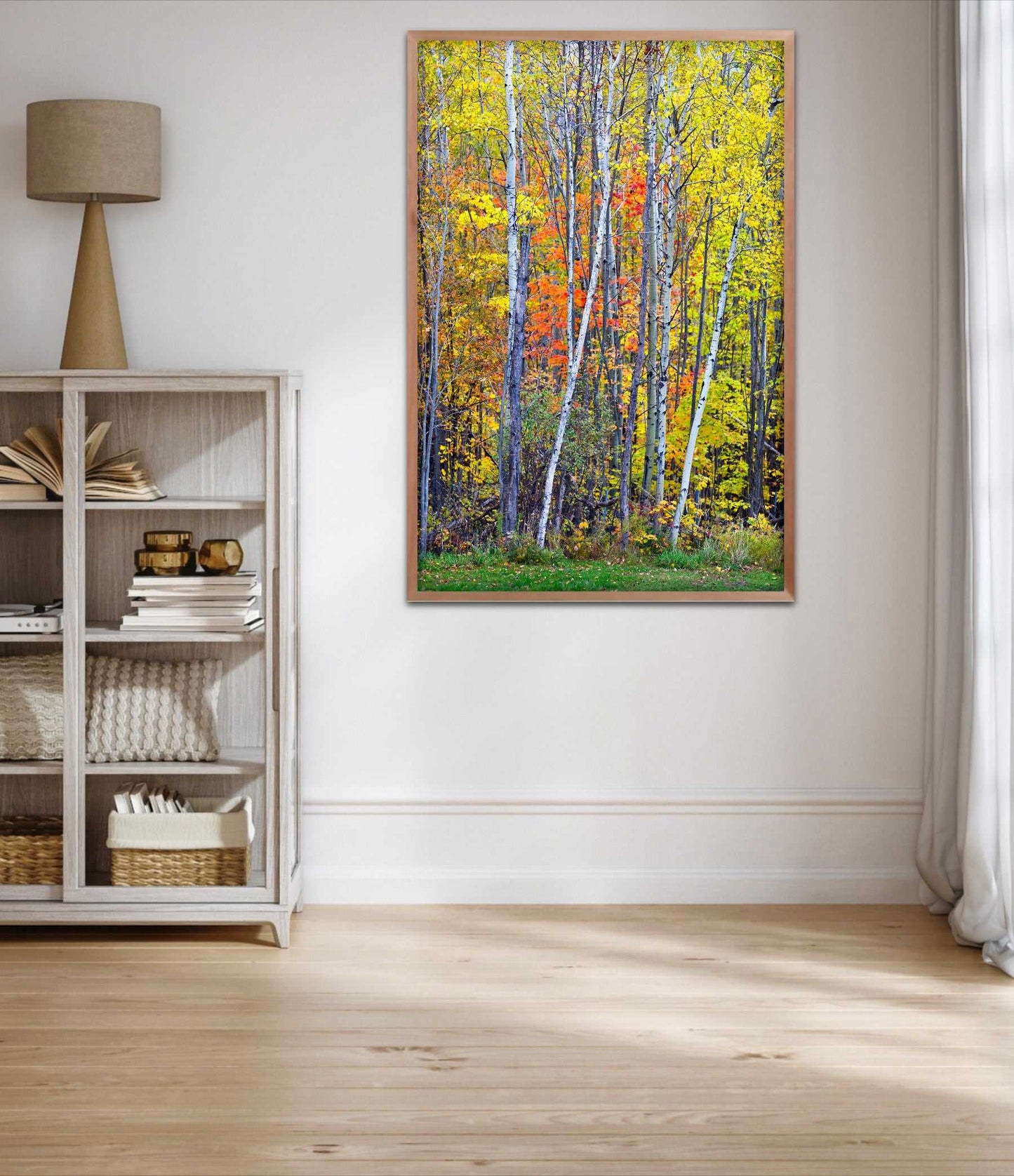 Framed print of an images of birch trees against a wall of other trees in Maine, shown on the wall of a room setting.