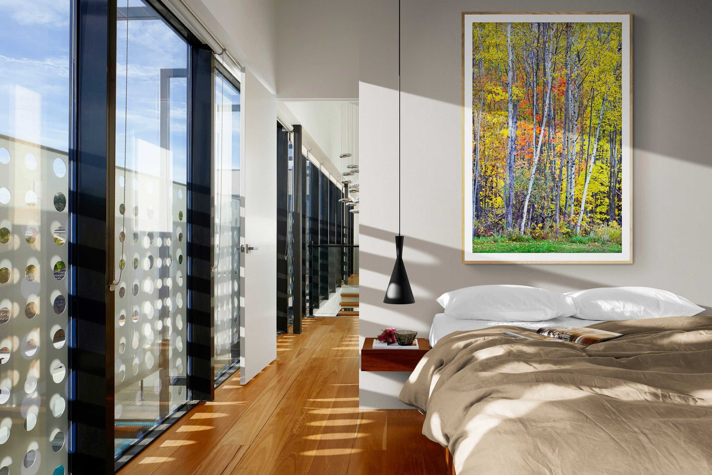 Framed print of an images of birch trees against a wall of other trees in Maine, shown on the wall of a room setting.