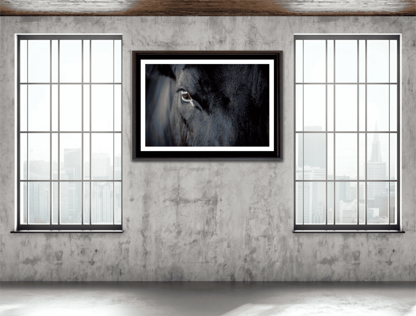 Black Angus Bull Eye – Fine Art Cattle Photography wall art in an industrial loft, showcasing rural Texas charm and bold animal portraiture in fine art form.