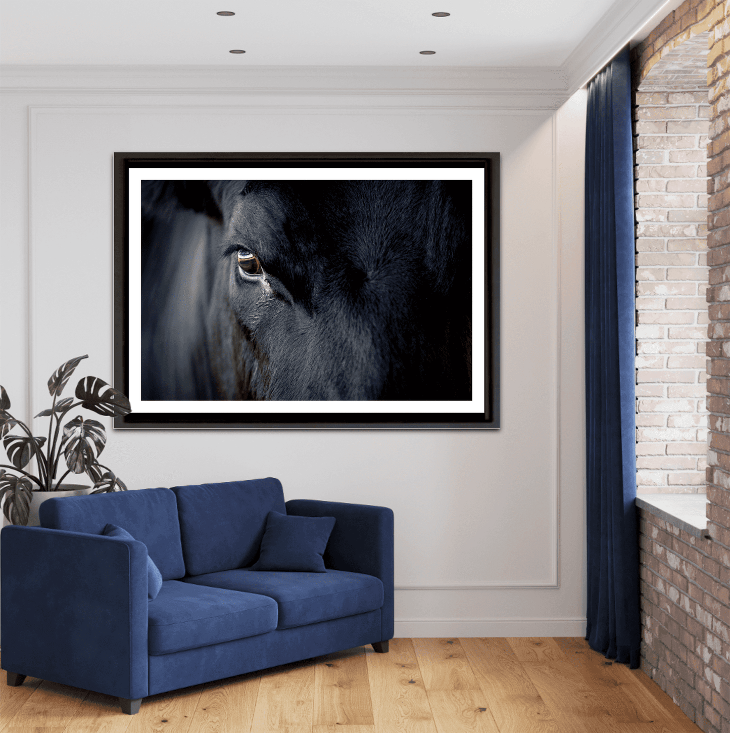 Black Angus Bull Eye – Fine Art Cattle Photography framed print in a stylish living room, blending cowboy culture with upscale home decor aesthetics.