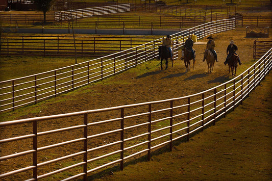 Four cowboys on horseback riding through corral lanes at sunrise at 44 Farms Texas, backlit by warm morning light and dust.