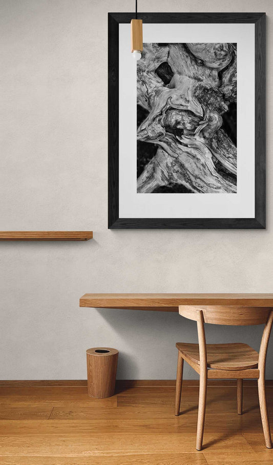 Dead Tree Detail, Yellowstone – Limited Edition Black and White Fine Art Photograph framed in black, displayed above a minimalist wood desk in a modern home.