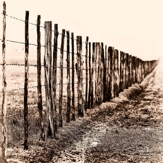 Weathered barbed wire fence line disappearing into fog on a Texas ranch at 44 Farms, evoking distance, memory, and rural landscape.