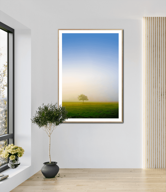 Emergence: Lone Tree in Morning Fog framed fine art print displayed in a modern home interior. Minimalist Texas landscape adds serene elegance to home decor.