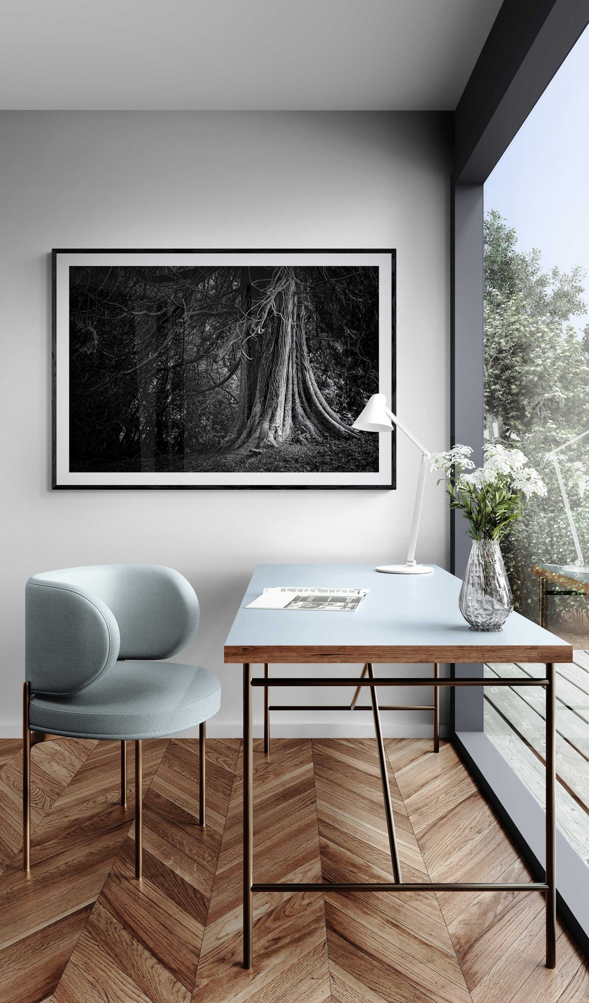 Michael Hart Fine Art
