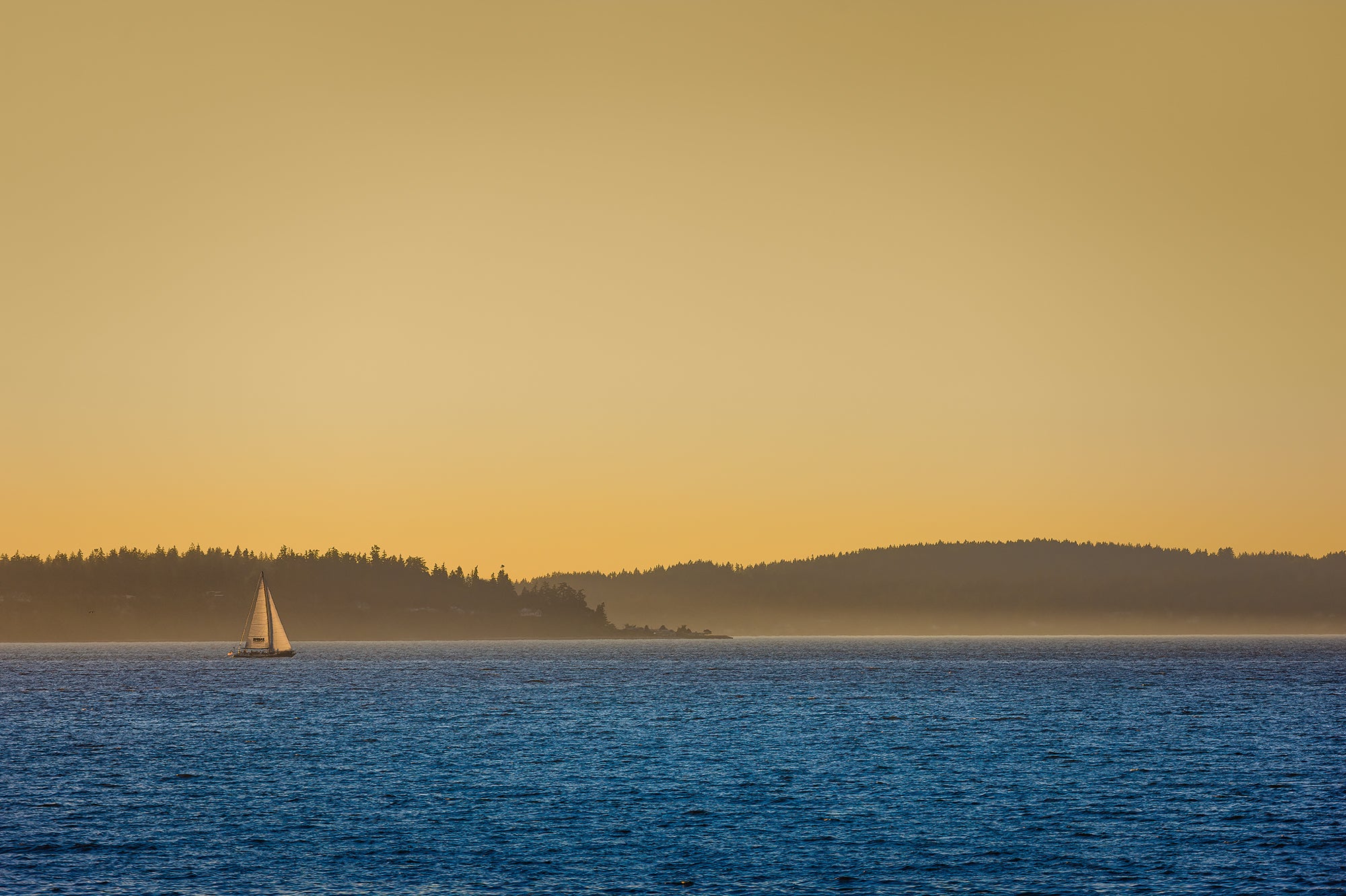 Sailboat in golden hour on puget sound outside  Seattle 