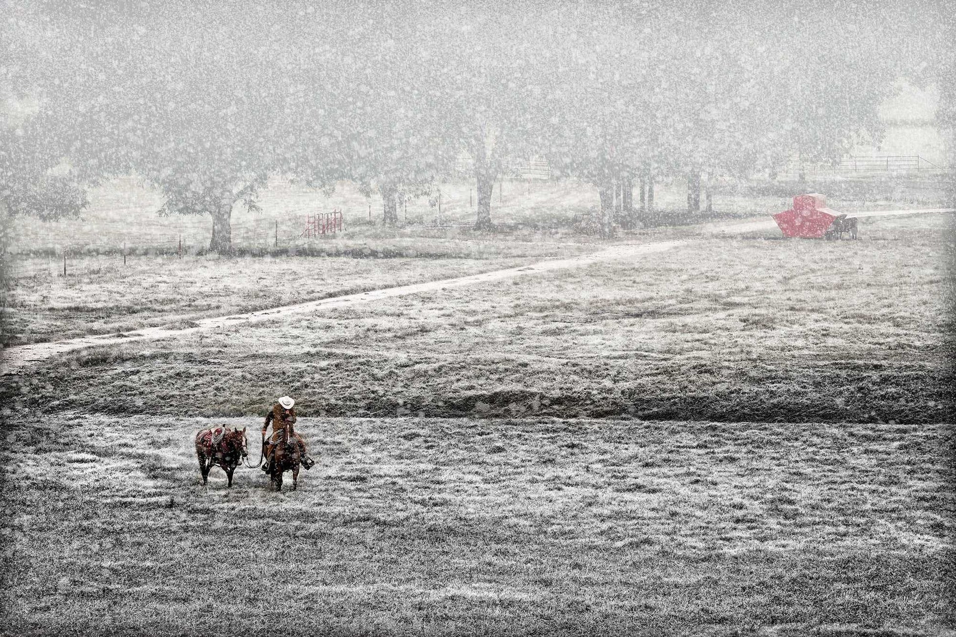 Michael Hart Fine Art