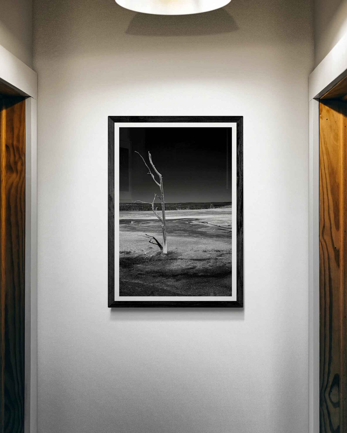 A framed print of a lone dead tree in this stark black and white image  from Yellowstone National Park hangs at the back wall of a home hallway