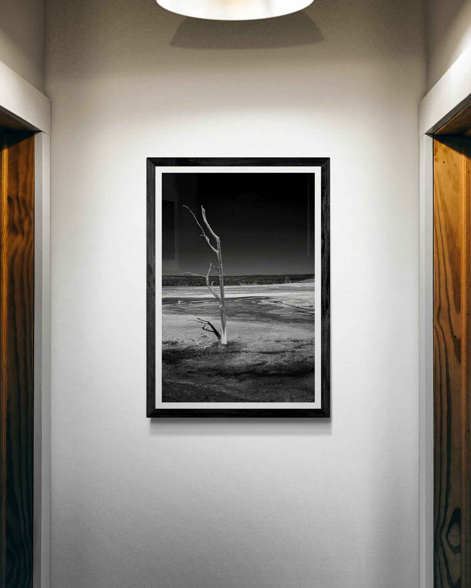 Michael Hart Fine Art