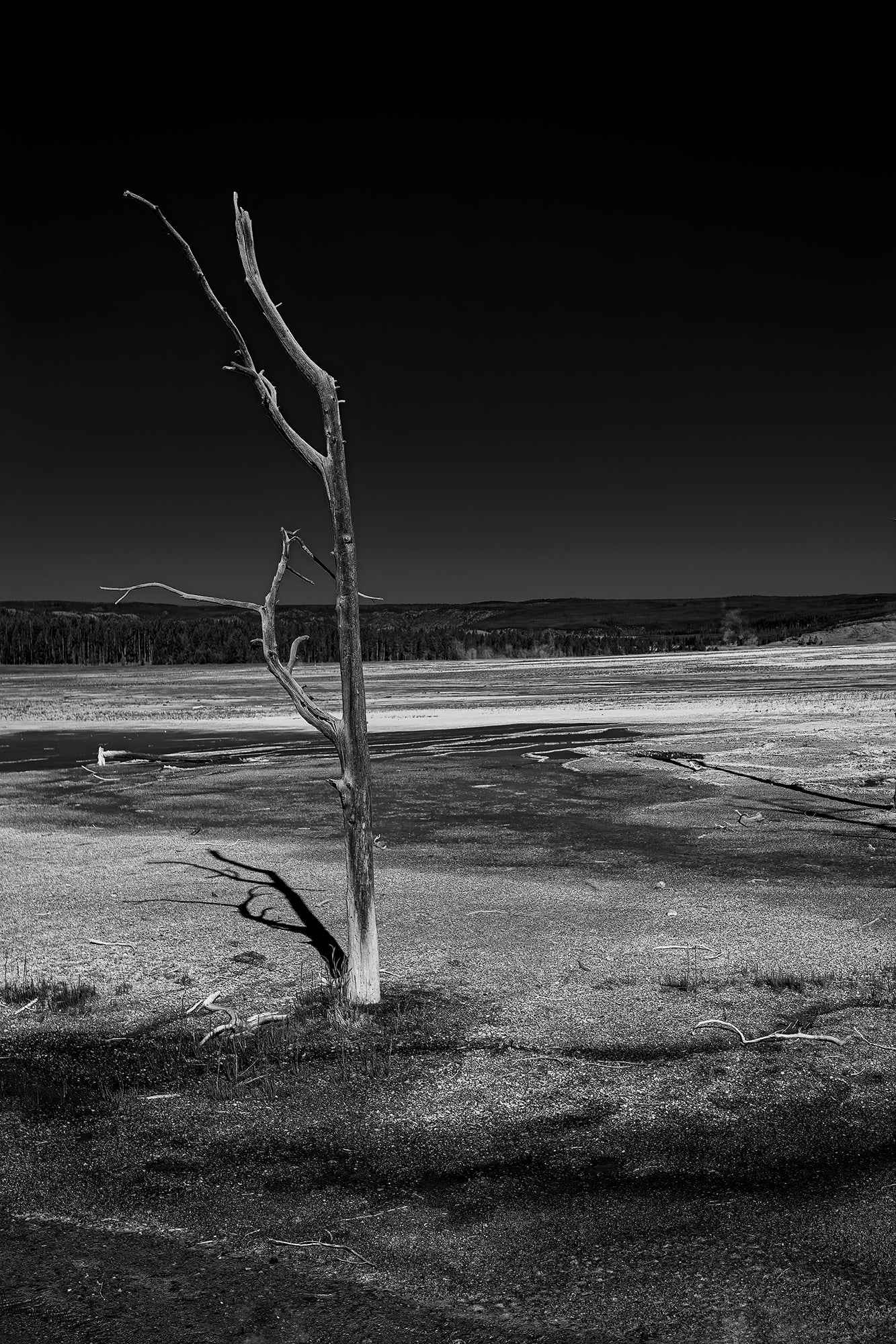 Michael Hart Fine Art