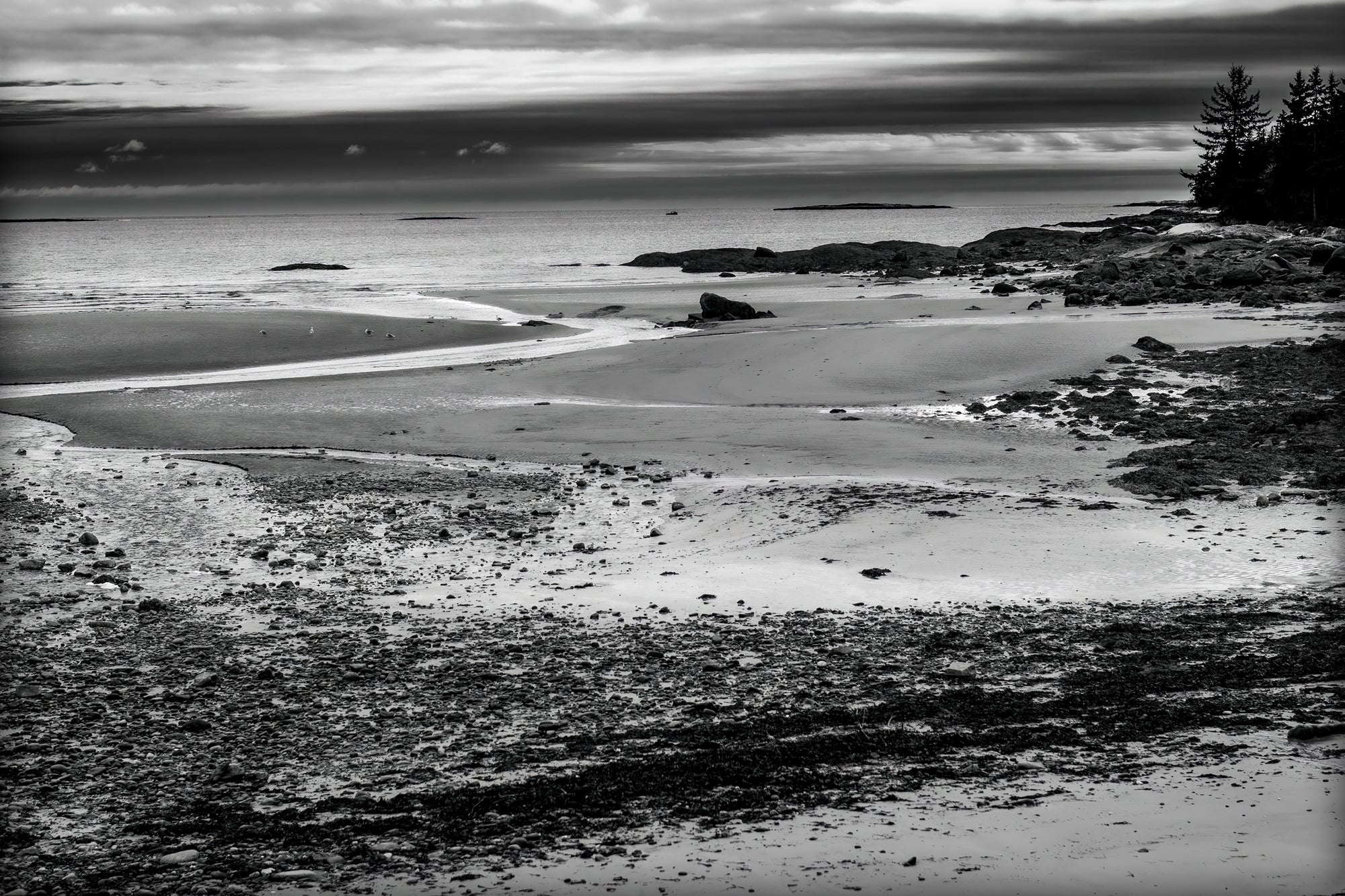 Black and white landscape of a beach with a rocky shoreline along the coast of Maine.