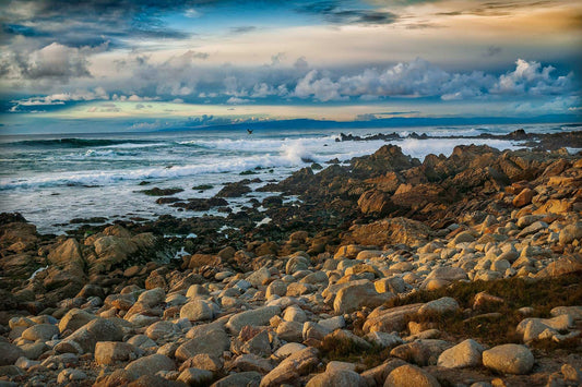 Monterey Bay fine art photograph featuring rocky California coastline, ocean waves, dramatic clouds, and a bird in flight at sunset