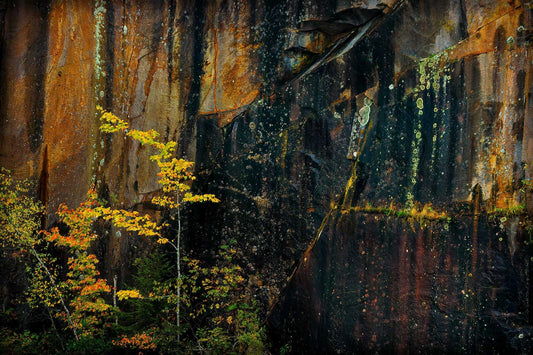 Abstract quarry wall in Maine featuring vertical mineral patterns, dark stone textures, and subtle autumn color in a fine art composition.